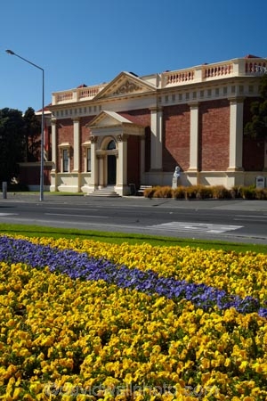 bloom;blooming;blooms;building;buildings;civic-garden;civic-gardens;council-garden;council-gardens;Dunedin;flower;flower-garden;flower-gardens;flowers;fresh;grow;growth;heritage;historic;historic-building;historic-buildings;historical;historical-building;historical-buildings;history;museum;museums;N.Z.;New-Zealand;NZ;old;Otago;Otago-Early-Settlers-Museum;Otago-Settlers-Museum;polyantha;polyanthas;public-garden;public-gardens;S.I.;season;seasonal;seasons;SI;South-Is;South-Is.;South-Island;spring;spring-time;spring_time;springtime;Sth-Is;Toitu;Toitu-Otago-Settlers-Museum;tradition;traditional