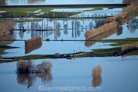 agricultural;agriculture;Allanton;bad-weather;country;countryside;crop;crops;deluge;Dunedin;extreme-weather;farm;farming;farmland;farms;field;fields;flood;flood-water;flood-waters;flooded-Taieri-River;flooding;floods;floodwater;floodwaters;high-water;horticulture;inundate;meadow;meadows;Mosgiel;N.Z.;New-Zealand;NZ;on-flood;Otago;paddock;paddocks;pasture;pastures;river;rivers;rural;S.I.;shelter-belt;shelter-belts;shelter_belt;shelter_belts;shelterbelt;shelterbelts;SI;South-Is;South-Is.;South-Island;Sth-Is;swollen-river;Taieri;Taieri-Plain;Taieri-Plains;Taieri-River;Taieri-River-in-flood;water;weather;wet;wind-break;wind-breaks;wind_break;wind_breaks;windbreak;windbreaks;winter;wintery