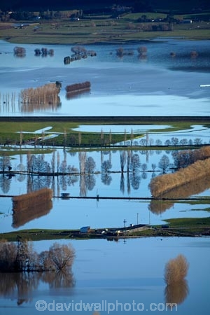 agricultural;agriculture;Allanton;bad-weather;country;countryside;crop;crops;deluge;Dunedin;extreme-weather;farm;farming;farmland;farms;field;fields;flood;flood-water;flood-waters;flooded-Taieri-River;flooding;floods;floodwater;floodwaters;high-water;horticulture;inundate;meadow;meadows;Mosgiel;N.Z.;New-Zealand;NZ;on-flood;Otago;paddock;paddocks;pasture;pastures;river;rivers;rural;S.I.;shelter-belt;shelter-belts;shelter_belt;shelter_belts;shelterbelt;shelterbelts;SI;South-Is;South-Is.;South-Island;Sth-Is;swollen-river;Taieri;Taieri-Plain;Taieri-Plains;Taieri-River;Taieri-River-in-flood;water;weather;wet;wind-break;wind-breaks;wind_break;wind_breaks;windbreak;windbreaks;winter;wintery