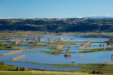 agricultural;agriculture;Allanton;bad-weather;country;countryside;crop;crops;deluge;Dunedin;extreme-weather;farm;farming;farmland;farms;field;fields;flood;flood-water;flood-waters;flooded-Taieri-River;flooding;floods;floodwater;floodwaters;high-water;horticulture;inundate;meadow;meadows;Mosgiel;N.Z.;New-Zealand;NZ;on-flood;Otago;paddock;paddocks;pasture;pastures;river;rivers;rural;S.I.;shelter-belt;shelter-belts;shelter_belt;shelter_belts;shelterbelt;shelterbelts;SI;South-Is;South-Is.;South-Island;Sth-Is;swollen-river;Taieri;Taieri-Plain;Taieri-Plains;Taieri-River;Taieri-River-in-flood;water;weather;wet;wind-break;wind-breaks;wind_break;wind_breaks;windbreak;windbreaks;winter;wintery