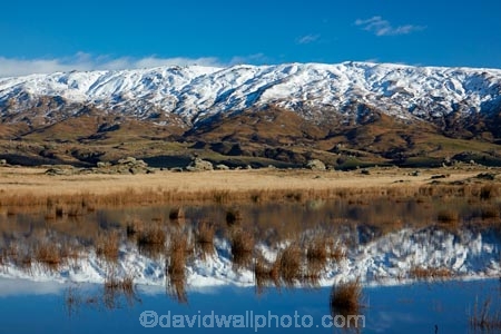 agricultural;agriculture;calm;country;countryside;Dunedin;farm;farm-pond;farm-ponds;farming;farmland;farms;field;fields;meadow;meadows;Middlemarch;N.Z.;New-Zealand;NZ;Otago;paddock;paddocks;pasture;pastures;placid;pond;ponds;quiet;range;ranges;reeds;reflected;reflection;reflections;Rock-amp;-Pillar-Range;Rock-and-Pillar-Range;rural;S.I.;season;seasons;serene;SI;smooth;snow-capped;snow_capped;snowcapped;snowy;South-Is;South-Is.;South-Island;Sth-Is;still;Strath-Taieri;Sutton;tranquil;water;winter
