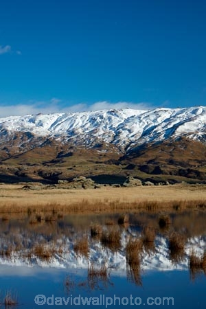 agricultural;agriculture;calm;country;countryside;Dunedin;farm;farm-pond;farm-ponds;farming;farmland;farms;field;fields;meadow;meadows;Middlemarch;N.Z.;New-Zealand;NZ;Otago;paddock;paddocks;pasture;pastures;placid;pond;ponds;quiet;range;ranges;reeds;reflected;reflection;reflections;Rock-amp;-Pillar-Range;Rock-and-Pillar-Range;rural;S.I.;season;seasons;serene;SI;smooth;snow-capped;snow_capped;snowcapped;snowy;South-Is;South-Is.;South-Island;Sth-Is;still;Strath-Taieri;Sutton;tranquil;water;winter