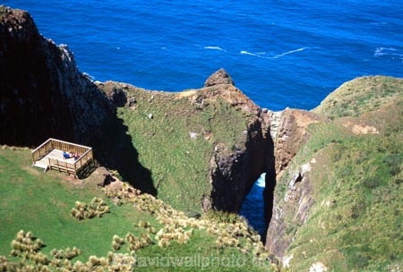 cliff;cliffs;dunedin;tunnel-;bluff;bluffs;precipice;person;;high;sea;ocean;pacific;coastline;coast;rock;otago-peninsula;aerial;aerials;cave;caves;arch;arches;hole;view-point