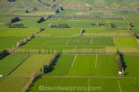 aerial;aerial-image;aerial-images;aerial-photo;aerial-photograph;aerial-photographs;aerial-photography;aerial-photos;aerial-view;aerial-views;aerials;agricultural;agriculture;Allanton;country;countryside;Dunedin;farm;farming;farmland;farms;field;fields;green;lush-farmland;meadow;meadows;Momona;N.Z.;New-Zealand;NZ;Otago;paddock;paddocks;pasture;pastures;rural;shelter-belt;shelter-belts;shelter_belt;shelter_belts;shelterbelt;shelterbelts;South-Is;South-Island;Sth-Is;Taieri;Taieri-Plain;Taieri-Plains;wind-break;wind-breaks;wind_break;wind_breaks;windbreak;windbreaks