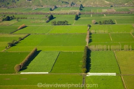aerial;aerial-image;aerial-images;aerial-photo;aerial-photograph;aerial-photographs;aerial-photography;aerial-photos;aerial-view;aerial-views;aerials;agricultural;agriculture;Allanton;country;countryside;Dunedin;farm;farming;farmland;farms;field;fields;green;lush-farmland;meadow;meadows;Momona;N.Z.;New-Zealand;NZ;Otago;paddock;paddocks;pasture;pastures;rural;shelter-belt;shelter-belts;shelter_belt;shelter_belts;shelterbelt;shelterbelts;South-Is;South-Island;Sth-Is;Taieri;Taieri-Plain;Taieri-Plains;wind-break;wind-breaks;wind_break;wind_breaks;windbreak;windbreaks