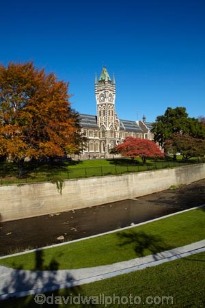 autuminal;autumn;autumn-colour;autumn-colours;autumnal;building;buildings;clock-tower;clock_tower;color;colors;colour;colours;deciduous;Dunedin;fall;heritage;historic;historic-building;historic-buildings;historical;historical-building;historical-buildings;history;leaf;leaves;Leith-Creek;Leith-River;Leith-Stream;N.Z.;New-Zealand;NZ;oak-leaf;oak-leaves;oak-tree;oak-trees;oaks;old;Otago;Otago-University;pin-oak;pin-oaks;registry-building;S.I.;season;seasonal;seasons;SI;South-Is;South-Is.;South-Island;Sth-Is;tradition;traditional;tree;trees;universities;university;University-of-Otago;Water-of-Leith;Waters-of-Leith