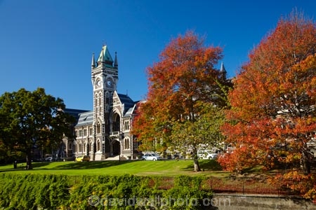 autuminal;autumn;autumn-colour;autumn-colours;autumnal;building;buildings;clock-tower;clock_tower;color;colors;colour;colours;deciduous;Dunedin;fall;heritage;historic;historic-building;historic-buildings;historical;historical-building;historical-buildings;history;leaf;leaves;N.Z.;New-Zealand;NZ;oak-leaf;oak-leaves;oak-tree;oak-trees;oaks;old;Otago;Otago-University;pin-oak;pin-oaks;registry-building;S.I.;season;seasonal;seasons;SI;South-Is;South-Is.;South-Island;Sth-Is;tradition;traditional;tree;trees;universities;university;University-of-Otago