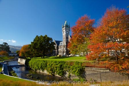 autuminal;autumn;autumn-colour;autumn-colours;autumnal;building;buildings;clock-tower;clock_tower;color;colors;colour;colours;deciduous;Dunedin;fall;heritage;historic;historic-building;historic-buildings;historical;historical-building;historical-buildings;history;leaf;leaves;Leith-Creek;Leith-River;Leith-Stream;N.Z.;New-Zealand;NZ;oak-leaf;oak-leaves;oak-tree;oak-trees;oaks;old;Otago;Otago-University;pin-oak;pin-oaks;registry-building;S.I.;season;seasonal;seasons;SI;South-Is;South-Is.;South-Island;Sth-Is;tradition;traditional;tree;trees;universities;university;University-of-Otago;Water-of-Leith;Waters-of-Leith