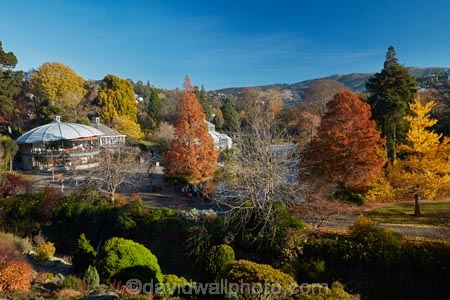 autuminal;autumn;autumn-colour;autumn-colours;autumn-tree;autumn-trees;autumnal;Botanic-Garden;Botanic-Gardens;Botanical-Garden;Botanical-Gardens;city-garden;city-gardens;color;colors;colour;colours;council-garden;council-gardens;deciduous;Dunedin;Dunedin-Botanic-Garden;Dunedin-Botanic-Gardens;Dunedin-Botanical-Garden;Dunedin-Botanical-Gardens;Dunedin-Gardens;fall;garden;gardens;leaf;leaves;N.Z.;New-Zealand;North-Dunedin;NZ;Otago;plant;plants;S.I.;season;seasonal;seasons;SI;South-Is;South-Is.;South-Island;Sth-Is;tree;trees