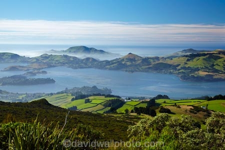 agricultural;agriculture;country;countryside;Dunedin;farm;farming;farmland;farms;field;fields;Martins-Hill;meadow;meadows;N.Z.;New-Zealand;NZ;Otago;Otago-Harbor;Otago-Harbour;Otago-Peninsula;paddock;paddocks;pasture;pastures;rural;South-Is;South-Island;Sth-Is;Upper-Junction