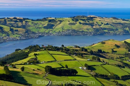 agricultural;agriculture;country;countryside;Dunedin;farm;farming;farmland;farms;field;fields;Martins-Hill;meadow;meadows;N.Z.;New-Zealand;NZ;Otago;Otago-Harbor;Otago-Harbour;Otago-Peninsula;paddock;paddocks;pasture;pastures;polarised;polarized;rural;shelter-belt;shelter-belts;shelter_belt;shelter_belts;shelterbelt;shelterbelts;South-Is;South-Island;Sth-Is;unpolarised;unpolarized;Upper-Junction;wind-break;wind-breaks;wind_break;wind_breaks;windbreak;windbreaks