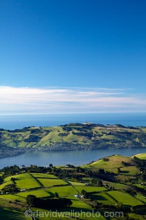 agricultural;agriculture;country;countryside;Dunedin;farm;farming;farmland;farms;field;fields;Martins-Hill;meadow;meadows;N.Z.;New-Zealand;NZ;Otago;Otago-Peninsula;paddock;paddocks;pasture;pastures;rural;shelter-belt;shelter-belts;shelter_belt;shelter_belts;shelterbelt;shelterbelts;South-Is;South-Island;Sth-Is;Upper-Junction;wind-break;wind-breaks;wind_break;wind_breaks;windbreak;windbreaks