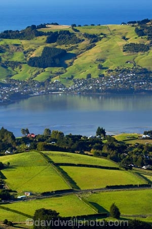 agricultural;agriculture;country;countryside;Dunedin;farm;farming;farmland;farms;field;fields;Martins-Hill;meadow;meadows;N.Z.;New-Zealand;NZ;Otago;Otago-Harbor;Otago-Harbour;Otago-Peninsula;paddock;paddocks;pasture;pastures;rural;shelter-belt;shelter-belts;shelter_belt;shelter_belts;shelterbelt;shelterbelts;South-Is;South-Island;Sth-Is;Upper-Junction;wind-break;wind-breaks;wind_break;wind_breaks;windbreak;windbreaks