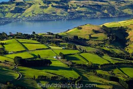 agricultural;agriculture;country;countryside;Dunedin;farm;farming;farmland;farms;field;fields;Martins-Hill;meadow;meadows;N.Z.;New-Zealand;NZ;Otago;Otago-Peninsula;paddock;paddocks;pasture;pastures;rural;shelter-belt;shelter-belts;shelter_belt;shelter_belts;shelterbelt;shelterbelts;South-Is;South-Island;Sth-Is;Upper-Junction;wind-break;wind-breaks;wind_break;wind_breaks;windbreak;windbreaks