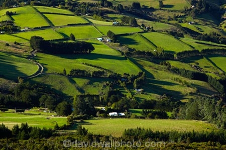agricultural;agriculture;country;countryside;Dunedin;farm;farming;farmland;farms;field;fields;Martins-Hill;meadow;meadows;N.Z.;New-Zealand;NZ;Otago;paddock;paddocks;pasture;pastures;rural;shelter-belt;shelter-belts;shelter_belt;shelter_belts;shelterbelt;shelterbelts;South-Is;South-Island;Sth-Is;Upper-Junction;wind-break;wind-breaks;wind_break;wind_breaks;windbreak;windbreaks