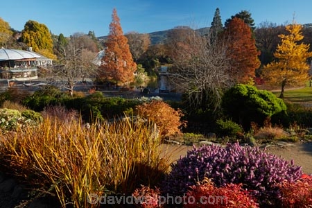 autuminal;autumn;autumn-colour;autumn-colours;autumn-tree;autumn-trees;autumnal;Botanic-Garden;Botanic-Gardens;Botanical-Garden;Botanical-Gardens;city-garden;city-gardens;color;colors;colour;colours;council-garden;council-gardens;deciduous;Dunedin;Dunedin-Botanic-Garden;Dunedin-Botanic-Gardens;Dunedin-Botanical-Garden;Dunedin-Botanical-Gardens;Dunedin-Gardens;fall;garden;gardens;leaf;leaves;N.Z.;New-Zealand;North-Dunedin;NZ;Otago;plant;plants;S.I.;season;seasonal;seasons;SI;South-Is;South-Is.;South-Island;Sth-Is;tree;trees