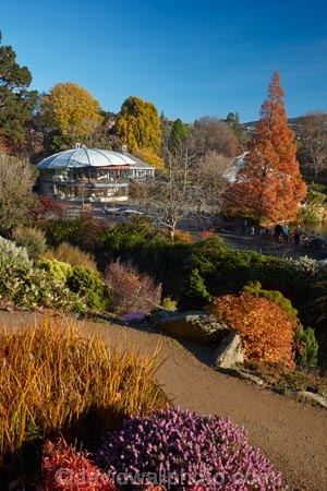 autuminal;autumn;autumn-colour;autumn-colours;autumn-tree;autumn-trees;autumnal;Botanic-Garden;Botanic-Gardens;Botanical-Garden;Botanical-Gardens;city-garden;city-gardens;color;colors;colour;colours;council-garden;council-gardens;deciduous;Dunedin;Dunedin-Botanic-Garden;Dunedin-Botanic-Gardens;Dunedin-Botanical-Garden;Dunedin-Botanical-Gardens;Dunedin-Gardens;fall;garden;gardens;leaf;leaves;N.Z.;New-Zealand;North-Dunedin;NZ;Otago;plant;plants;S.I.;season;seasonal;seasons;SI;South-Is;South-Is.;South-Island;Sth-Is;tree;trees