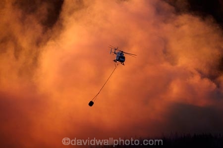 air-craft;aircraft;aviation;BK117;Burnside;chopper;choppers;Dunedin;dusk;emergency;emergency-chopper;emergency-choppers;emergency-helicopter;emergency-helicopters;evening;fire;fire-fighters;fire-fighting;fire_fighters;fire_fighting;firefighting;fires;Heli-Otago;helicopter;helicopters;Helicopters-Otago;HeliOtago;Kawasaki;Kawasaki-BK117;MBB;MBBKawasaki-BK117;monsoon-bucket;monsoon-buckets;N.Z.;New-Zealand;night;night_time;nightfall;NZ;orange;Otago;rescue-chopper;rescue-choppers;rescue-helicopter;rescue-helicopters;S.I.;SI;smoke;smokey;smokey-sunset;South-Is;South-Island;Sth-Is;sunset;sunsets;twilight;twin-engine-helicopter