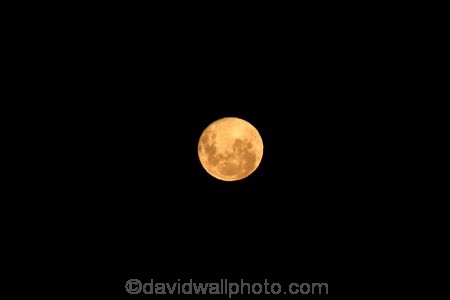 astronomy;dark;Dunedin;dusk;evening;full-moon;full-moons;lunar;moon;moon-surface;moonrise;moons;N.Z.;New-Zealand;night;night-time;night_time;NZ;Otago;S.I.;SI;South-Is;South-Is.;South-Island;space;star-gazing;Sth-Is;yellow-moon;yellow-moons