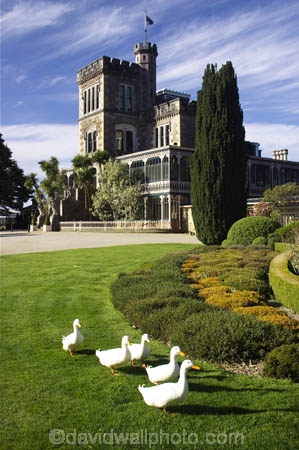 architecture;building;buildings;castle;castles;duck;ducks;Dunedin;fountain;fountains;geese;goose;grand;historic;historical;history;Larnach-Castle;larnachs-castle;larnachs-castle;manor;New-Zealand;old;otago-peninslar;Otago-Peninsula;South-Island