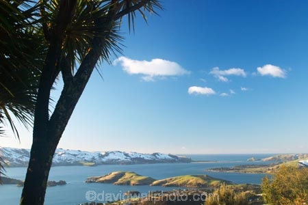 cold;Dunedin;harbor;harbors;harbour;harbours;larnach-castle;larnachs-castle;larnachs-castle;New-Zealand;otago-harbor;Otago-Harbour;otago-peninsula;Portobello-Peninsula;snow;South-Island;view-from-larnch-castle;winter