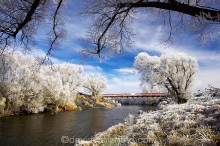 beautiful;bridge;bridges;calm;calmness;clean;clear;cold;Coldness;Color;Colour;Daytime;Exterior;freeze;freezing;freezing-fog;frost;Frosted;frosty;grass;grasses;heritage;high-country;historic;Historic-Suspension-Bridge;historical;history;hoar-frost;Hoarfrost;ice;ice-crystals;icy;idyllic;Landscape;Landscapes;natural;Nature;new-zealand;old;Otago;Outdoor;Outdoors;Outside;peaceful;Peacefulness;phenomena;phenomenon;pure;Quiet;Quietness;rime;river;river-bank;riverbank;rivers;rustic;Scenic;Scenics;Season;Seasons;silence;south-island;spectacular;stone;strath-taieri;stunning;suspension-bridges;sutton;taieri-River;tranquil;tranquility;tree;trees;view;water;weather;White;willow;willows;winter;Wintertime;wintery;wintry