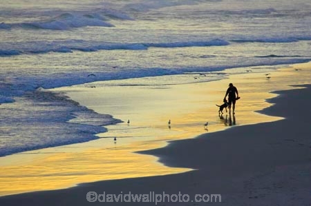 beach;beaches;Blackhead;Blackhead-Beach;coast;coastal;coastline;coastlines;coasts;dog;dogs;Dunedin;dusk;evening;man;men;N.Z.;New-Zealand;nightfall;NZ;Ocean;Oceans;Otago;Pacific-Ocean;people;person;S.I.;sand;sea;shore;shoreline;shorelines;shores;SI;sky;South-Island;sunset;sunsets;twilight;Waldronville;walking-dog;walking-the-dog