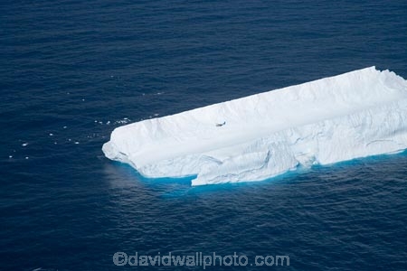 aerial;aerial-photo;aerial-photography;aerial-photos;aerial-view;aerial-views;aerials;berg;bergs;blue;climate-change;cold;cold-icy;Dunedin;global-warming;growler;growlers;hazard;hazards;ice;iceberg;icebergs;icy;N.Z.;New-Zealand;NZ;oceaans;ocean;Otago;Pacific-Ocean;S.I.;sea;seas;shipping-hazard;shipping-hazards;SI;Sightseeing-Flight;Sightseeing-Flights;Sightseeing-Plane;Sightseeing-Planes;South-Island;water;white