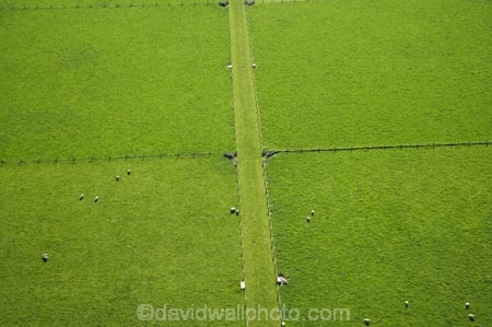 aerial;aerial-photo;aerial-photograph;aerial-photographs;aerial-photography;aerial-photos;aerial-view;aerial-views;aerials;agricultural;agriculture;country;countryside;Dunedin;farm;farm-animals;farming;farmland;farms;fence;fence-line;fence-lines;fence_line;fence_lines;fenceline;fencelines;fences;field;fields;green;lush;meadow;meadows;N.Z.;New-Zealand;North-Taieri;NZ;Otago;paddock;paddocks;pasture;pastures;rural;S.I.;sea;sheep;SI;South-Is.;South-Island;stock;Taieri-Plain;Taieri-Plains;verdant;water