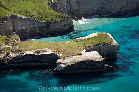 aerial;aerial-photo;aerial-photograph;aerial-photographs;aerial-photography;aerial-photos;aerial-view;aerial-views;aerials;bluff;bluffs;cliff;cliffs;coast;coastal;coastal-erosion;coastline;coastlines;coasts;Dunedin;headland;headlands;N.Z.;New-Zealand;NZ;ocean;oceans;Otago;Pacific-Ocean;S.I.;sandstone;sea;sea-cliff;sea-cliffs;seas;shore;shoreline;shorelines;shores;SI;South-Is.;South-Island;steep;summer;tourism;tourist;tourists;Tunnel-Beach;water