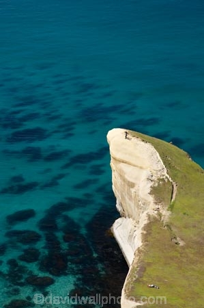 aerial;aerial-photo;aerial-photograph;aerial-photographs;aerial-photography;aerial-photos;aerial-view;aerial-views;aerials;bluff;bluffs;cliff;cliffs;coast;coastal;coastal-erosion;coastline;coastlines;coasts;Dunedin;headland;headlands;N.Z.;New-Zealand;NZ;ocean;oceans;Otago;Pacific-Ocean;S.I.;sandstone;sea;sea-cliff;sea-cliffs;seas;shore;shoreline;shorelines;shores;SI;South-Is.;South-Island;steep;tourism;tourist;tourists;Tunnel-Beach;water