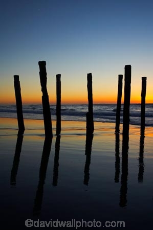 break-of-day;calm;coast;coastal;coastline;coastlines;coasts;dawn;dawning;daybreak;Dunedin;first-light;heritage;historic;historical;history;jetties;jetty;morning;N.Z.;New-Zealand;NZ;ocean;oceans;old;Old-Pier-Piles;orange;Otago;Pacific-Ocean;pier;piers;pile;piles;placid;post;posts;quiet;reflection;reflections;S.I.;Saint-Clair-Beach;Saint-Clair-Esplanade;sea;seas;serene;shore;shoreline;shorelines;shores;SI;silhouette;silhouettes;smooth;South-Is;South-Is.;South-Island;St-Clair;St-Clair-Beach;St-Clair-Esplanade;St.-Clair-Beach;St.Clair;St.Clair-Esplanade;still;sunrise;sunrises;sunup;The-Esplanade;tradition;traditional;tranquil;twilight;vertical;water;waterside;wharf;wharfes;wharves