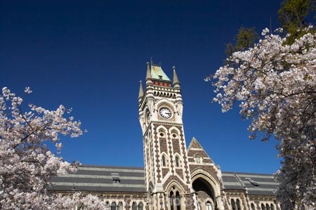 bloom;blooming;blooms;blossom;blossoming;blossoms;building;buildings;Clock-Tower;Clock-Towers;college;colleges;Dunedin;education;fresh;grow;growth;heritage;historic;historic-building;historic-buildings;historical;historical-building;historical-buildings;Historical-Registry-Building;history;N.Z.;New-Zealand;NZ;old;Otago;Otago-University;Registry-Building;renew;S.I.;season;seasonal;seasons;SI;South-Is.;South-Island;spring;springtime;tertiary-education;tradition;traditional;universities;University-of-Otago