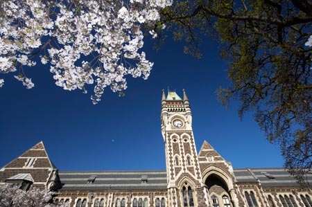 bloom;blooming;blooms;blossom;blossoming;blossoms;building;buildings;Clock-Tower;Clock-Towers;college;colleges;Dunedin;education;fresh;grow;growth;heritage;historic;historic-building;historic-buildings;historical;historical-building;historical-buildings;Historical-Registry-Building;history;N.Z.;New-Zealand;NZ;old;Otago;Otago-University;Registry-Building;renew;S.I.;season;seasonal;seasons;SI;South-Is.;South-Island;spring;springtime;tertiary-education;tradition;traditional;universities;University-of-Otago