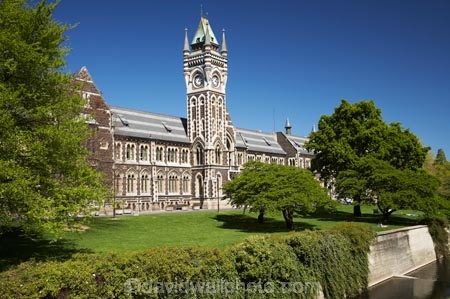 building;buildings;Clock-Tower;Clock-Towers;college;colleges;Dunedin;education;heritage;historic;historic-building;historic-buildings;historical;historical-building;historical-buildings;Historical-Registry-Building;history;N.Z.;New-Zealand;NZ;old;Otago;Otago-University;Registry-Building;S.I.;SI;South-Is.;South-Island;tertiary-education;tradition;traditional;universities;University-of-Otago