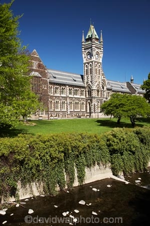 building;buildings;Clock-Tower;Clock-Towers;college;colleges;Dunedin;education;heritage;historic;historic-building;historic-buildings;historical;historical-building;historical-buildings;Historical-Registry-Building;history;Leith-Stream;N.Z.;New-Zealand;NZ;old;Otago;Otago-University;Registry-Building;S.I.;SI;South-Is.;South-Island;tertiary-education;tradition;traditional;universities;University-of-Otago;Water-of-Leith;Waters-of-Leith