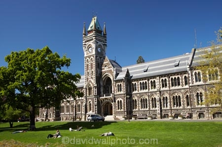 building;buildings;Clock-Tower;Clock-Towers;college;colleges;Dunedin;education;heritage;historic;historic-building;historic-buildings;historical;historical-building;historical-buildings;Historical-Registry-Building;history;N.Z.;New-Zealand;NZ;old;Otago;Otago-University;Registry-Building;S.I.;SI;South-Is.;South-Island;tertiary-education;tradition;traditional;universities;University-of-Otago