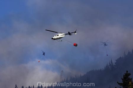 air-craft;aircraft;aircrafts;aviating;aviation;aviator;aviators;Bel-Jet-Ranger;Bel-Jet-Rangers;Bell-206B;Bell-Jetranger;Bell-Jetrangers;Bk117;bucket;buckets;chopper;choppers;Dunedin;emergency;fire;fire-fighters;fire-fighting;fire_fighting;firefighting;fires;flight;flights;fly;flyer;flyers;flying;Forest-Fire;Forest-Fires;Helicopter;Helicopters;Helicopters-Otago;Jet_ranger;Jet_rangers;Kawasaki-BK117-A_4;monsoon-bucket;monsoon-buckets;N.Z.;New-Zealand;NZ;pilot;pilots;pine;pine-forest;pine-forests;pine-tree;pine-trees;pines;rotor;S.I.;SI;sky;smoke;smokey;South-Island;water-biuckets;water-bucket