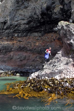 Southern-Traverse;Southern-Traverse-2003;Southern-Traverse-Adventure-Race;Dunedin;Otago;New-Zealand;Team-Omnigraphics;Omnigraphics;Sponsor;Sponsored;athlete;athletes;endure;endurance;stamina;challenge;effort;marathon;long-distance;long_distance;team;teams;team-member;team-members;team_member;team_members;compete;competingcompetition;competitor;competitors;race;racing;coasteering;coast;coastal;ocean;sea;water;rock;rocky;rocks;shore;shoreline;shore-line;shore_line;seaweed;sea-weed;sea_weed;kelp;sea-kelp;bull-kelp