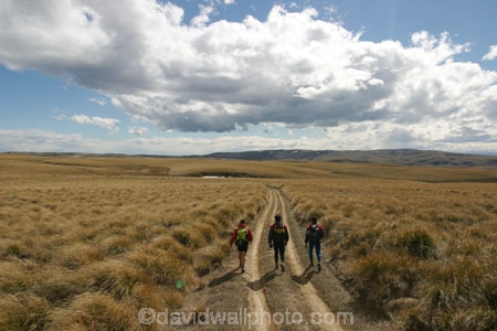 Southern-Traverse;Southern-Traverse-2003;Southern-Traverse-Adventure-Race;Dunedin;Otago;New-Zealand;Te-Papanui;Te-Papanui-Conservation-Park;conservation-park;Team-Omnigraphics;Omnigraphics;Sponsor;Sponsored;athlete;athletes;endure;endurance;stamina;challenge;effort;marathon;long-distance;long_distance;team;teams;team-member;team-members;team_member;team_members;compete;competing;competition;competitor;competitors;race;racing;walk;walking;hike;hiker;hikers;hiking;hikes;tramp;tramper;trampers;tramping;tramps