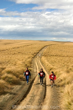 Southern-Traverse;Southern-Traverse-2003;Southern-Traverse-Adventure-Race;Dunedin;Otago;New-Zealand;Team-Omnigraphics;Omnigraphics;Sponsor;Sponsored;athlete;athletes;endure;endurance;stamina;challenge;effort;marathon;long-distance;long_distance;team;teams;team-member;team-members;team_member;team_members;compete;competing;competition;competitor;competitors;race;racing;walk;walking;hike;hiker;hikers;hiking;hikes;tramp;tramping;tramper;trampers;tramps;tarn;remote;wilderness;high-country;high_country;tussock;tussocks;tussock-land;grass;grassland;grasslands;path;paths;road;roads;track;tracks;dirt-road;gravel;dirt