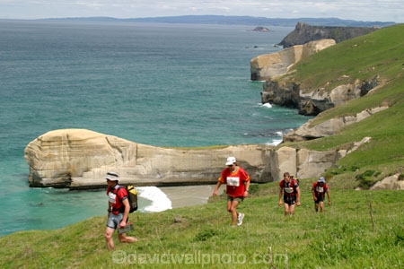 Southern-Traverse;Southern-Traverse-2003;Southern-Traverse-Adventure-Race;Dunedin;Otago;New-Zealand;Team-Omnigraphics;Omnigraphics;Sponsor;Sponsored;athlete;athletes;endure;endurance;stamina;challenge;effort;marathon;long-distance;long_distance;team;teams;team-member;team-members;team_member;team_members;compete;competing;competition;competitor;competitors;race;racing;cliff;cliffs;bluff;bluffs;high;steep;coast;coastal;water;sea;ocean;wave;waves;tide;tidal;tide;grass;grassy;walk;walking;tramp;tramping;tramper;trampers;hike;hiking;hiker;hikers;sandstone;sedimentary;rock;rocks;rocky;beach;beaches;shore;sea-shore;seashore;sea_shore;foreshore;shore-line;shoreline;shore_line