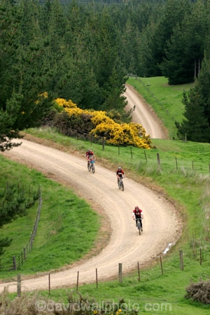 Southern-Traverse;Southern-Traverse-2003;Southern-Traverse-Adventure-Race;Dunedin;Otago;New-Zealand;Team-Omnigraphics;Omnigraphics;Sponsor;Sponsored;athlete;athletes;endure;endurance;stamina;challenge;effort;marathon;long-distance;long_distance;team;teams;team-member;team-members;team_member;team_members;compete;competing;competition;competitor;competitors;race;racing;cliff;cliffs;bluff;bluffs;high;steep;coast;coastal;water;sea;ocean;wave;waves;tide;tidal;tide;grass;grassy;walk;walking;tramp;tramping;tramper;trampers;hike;hiking;hiker;hikers;sandstone;sedimentary;rock;rocks;rocky;beach;beaches;shore;sea-shore;seashore;sea_shore;foreshore;shore-line;shoreline;shore_line;Southern-Traverse;Southern-Traverse-2003;Southern-Traverse-Adventure-Race;Dunedin;Otago;New-Zealand;Team-Omnigraphics;Omnigraphics;Sponsor;Sponsored;athlete;athletes;endure;endurance;stamina;challenge;effort;marathon;long-distance;long_distance;team;teams;team-member;team-members;team_member;team_members;compete;competing;competition;competitor;competitors;race;racing;cycle;cycling;cyclist;cyclists;bicycle;bicycles;bike;biking;biker;bikers;mountain-bike;mountain-bikes;mountain-biker;mountain-bikers;helmet;helmets;pedal;pedals;pedaling;pedalling;road;roads;gravel;arc;curve;curves;bend;bends;forest;forestry