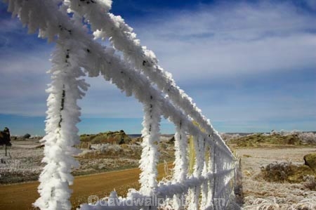 agricultural;agriculture;beautiful;calm;calmness;clean;clear;cold;Coldness;Color;Colour;country;countryside;Daytime;Exterior;farm;farming;farmland;farms;fence;fences;field;fields;freeze;freezes;freezing;freezing-fog;frost;Frosted;frosty;frozen;hexagon;hexagonal;high-country;hoar;hoar-frost;Hoarfrost;ice;ice-crystals;icy;idyllic;Landscape;Landscapes;meadow;meadows;natural;Nature;netting;new-zealand;Otago;Outdoor;Outdoors;Outside;paddock;paddocks;pasture;pastures;phenomena;phenomenon;rime;rural;Scenic;Scenics;season;seasonal;seasons;South-Island;spectacular;stunning;sutton;weather;White;winter;Wintertime;wintery;wintry;wire;wire-net;wire-netting;wires