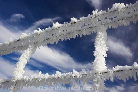 agricultural;agriculture;beautiful;calm;calmness;clean;clear;cold;Coldness;Color;Colour;country;countryside;Daytime;Exterior;farm;farming;farmland;farms;fence;fences;field;fields;freeze;freezes;freezing;freezing-fog;frost;Frosted;frosty;frozen;hexagon;hexagonal;high-country;hoar;hoar-frost;Hoarfrost;ice;ice-crystals;icy;idyllic;Landscape;Landscapes;meadow;meadows;natural;Nature;netting;new-zealand;Otago;Outdoor;Outdoors;Outside;paddock;paddocks;pasture;pastures;phenomena;phenomenon;rime;rural;Scenic;Scenics;season;seasonal;seasons;South-Island;spectacular;stunning;sutton;weather;White;winter;Wintertime;wintery;wintry;wire;wire-net;wire-netting;wires