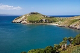 coast;coastal;coastline;coastlines;coasts;Dunedin;harbor;harbors;harbour;harbours;N.Z.;New-Zealand;NZ;ocean;oceans;Otago;Otago-Harbour;Otago-Peninsula;Pilots-Beach;S.I.;sea;shore;shoreline;shorelines;shores;SI;South-Is.;South-Island;Taiaroa-Head;Taiaroa-Head-Albatross-Colony;water