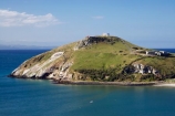 coast;coastal;coastline;coastlines;coasts;Dunedin;harbor;harbors;harbour;harbours;N.Z.;New-Zealand;NZ;ocean;oceans;Otago;Otago-Harbour;Otago-Peninsula;Pilots-Beach;S.I.;sea;shore;shoreline;shorelines;shores;SI;South-Is.;South-Island;Taiaroa-Head;Taiaroa-Head-Albatross-Colony;water