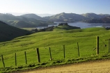 agricultural;agriculture;country;countryside;Dunedin;farm;farming;farmland;farms;fence;fence-line;fence-lines;fence_line;fence_lines;fenceline;fencelines;fences;field;fields;Hoopers-Inlet;meadow;meadows;N.Z.;New-Zealand;NZ;Otago;Otago-Peninsula;paddock;paddocks;pasture;pastures;rural;S.I.;SI;South-Is.;South-Island