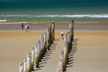 beach;beaches;coast;coastal;coastline;coastlines;coasts;Dunedin;heritage;historic;historical;history;jetties;jetty;N.Z.;New-Zealand;NZ;ocean;oceans;old;Old-Pier-Piles;Otago;pier;piers;pile;piles;S.I.;Saint-Clair-Beach;sand;sandy;sea;seas;shore;shoreline;shorelines;shores;SI;South-Is.;South-Island;St-Clair-Beach;St.-Clair-Beach;surf;walker;walkers;walking;water;waterside;wave;waves;wharf;wharfes;wharves