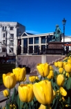 Octagon;tulips;flowers;yellow;Robbie-Burns;statue;CBD;postmodern;postmodernism;post_modern-architecture;glass;windows;showcase;exhibit;exhibition;Dunedin-Public-Art-Gallery;art;artists;display;show;showing